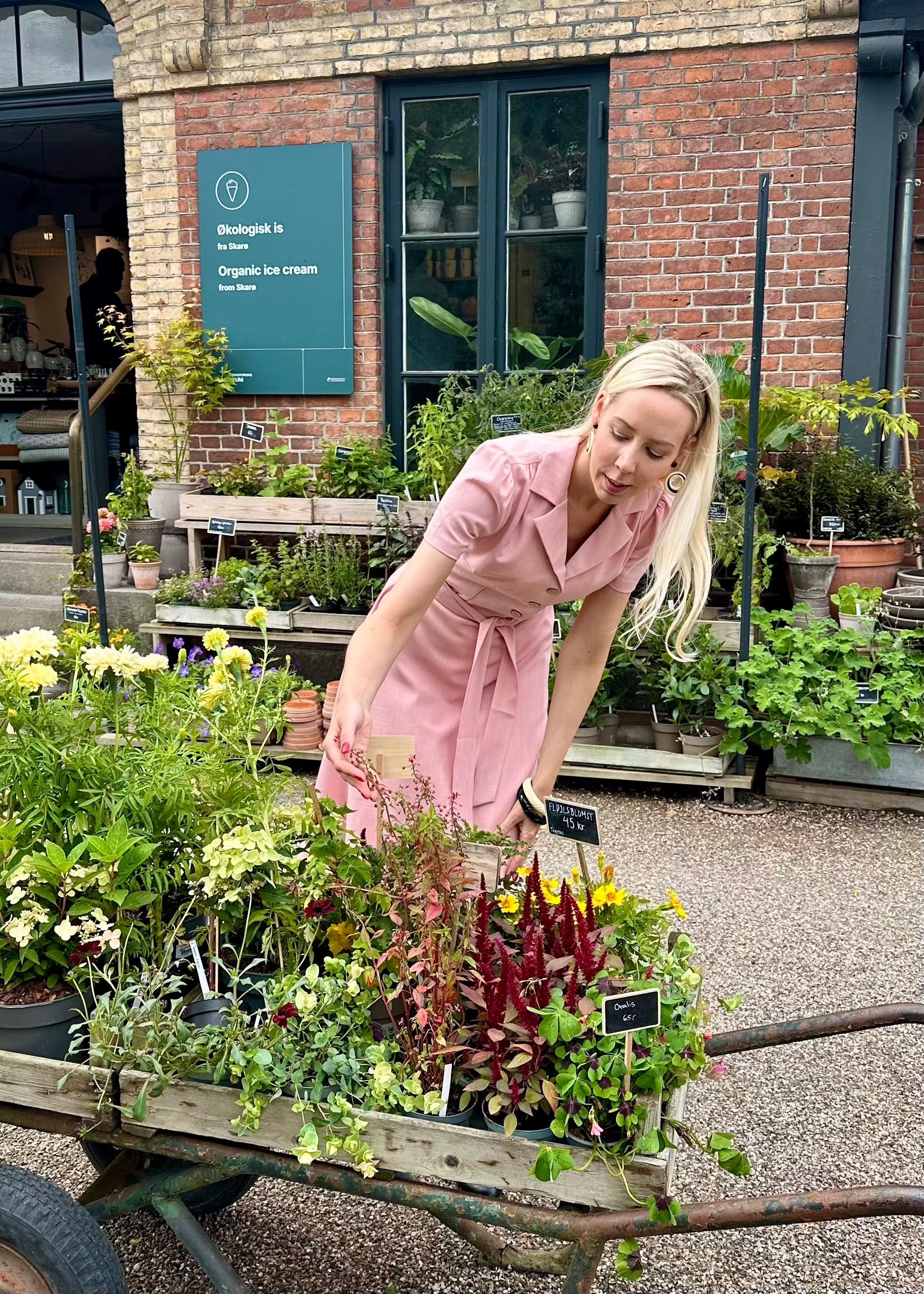 Betty kortærmet skjortekjole i lys rosa Kjoler Daisy Dapper 